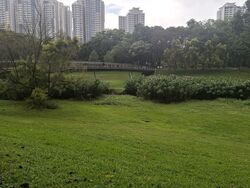 Blk 252 Bishan Street 22 (Bishan), HDB 4 Rooms #504559451